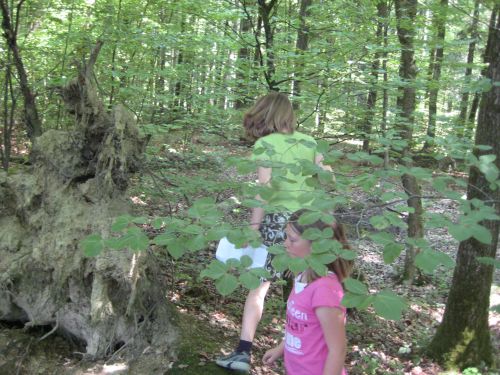 Pfila08 Sonntag (52)