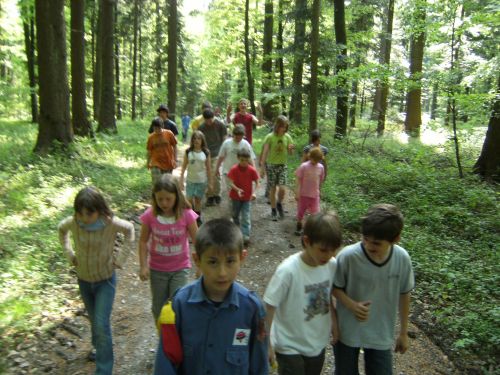 Pfila08 Sonntag (80)