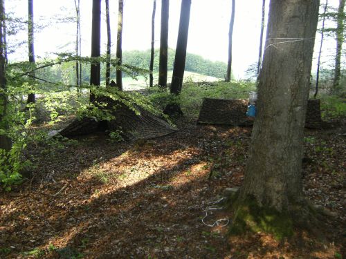 Pfila08 Sonntag (93)