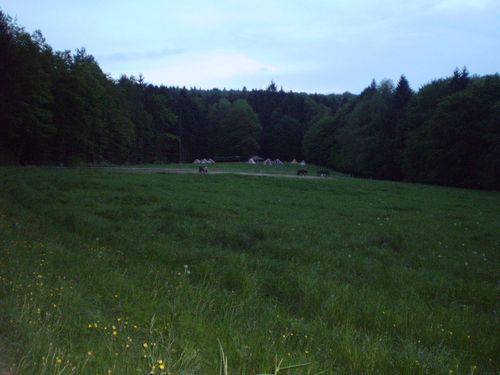 Pfila 08 Sonntag (21)