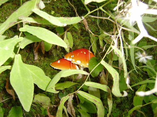 Wanderung gross (23)