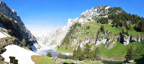 small bollenwees pan1