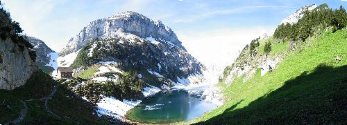 small bollenwees pan2