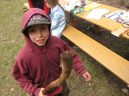 Sola2007 Montag (12)