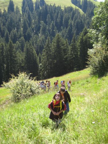 Sola07 Dienstag (11)