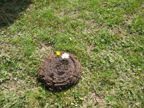 Sola07 Dienstag (34)