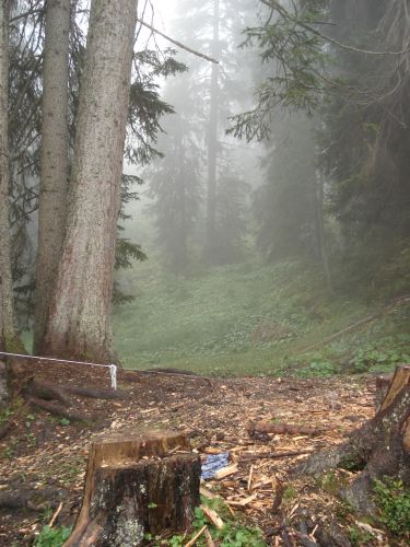 Sola07 Donnerstag (3)