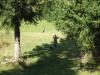 Gelaendespiel 2 (11)